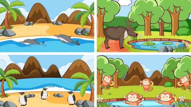 Background scenes of animals in the wild