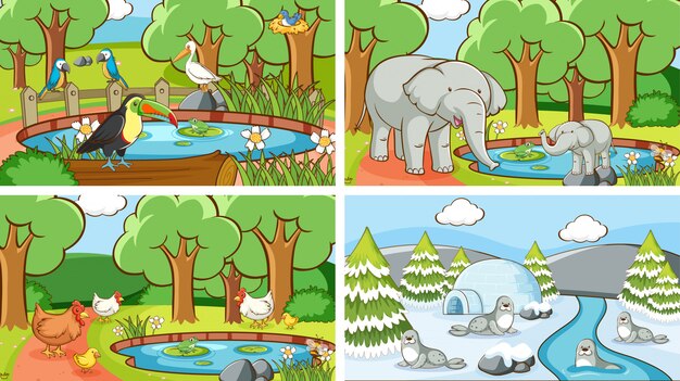 Background scenes of animals in the wild