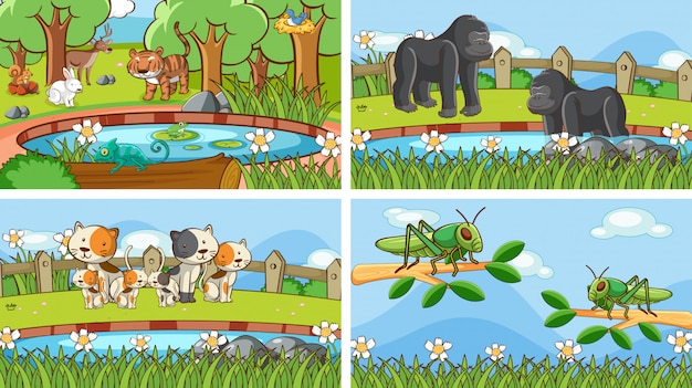 Background scenes of animals in the wild