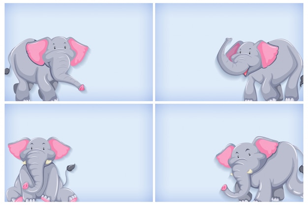 Background template design with plain color and elephant