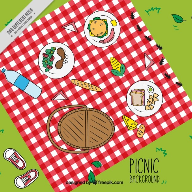 Free vector background themed picnic