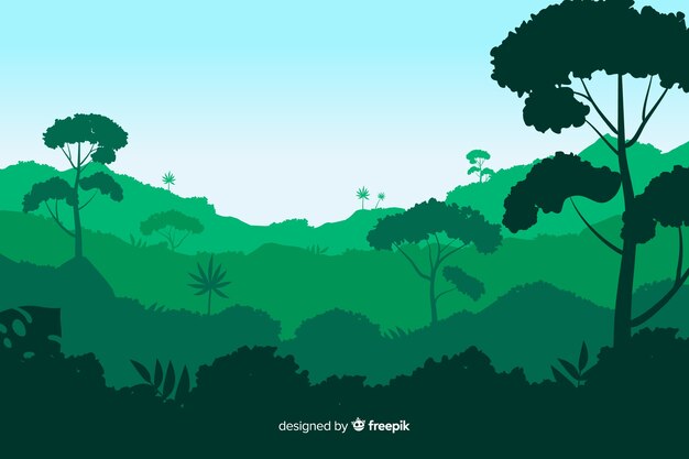 Background tropical forest landscape