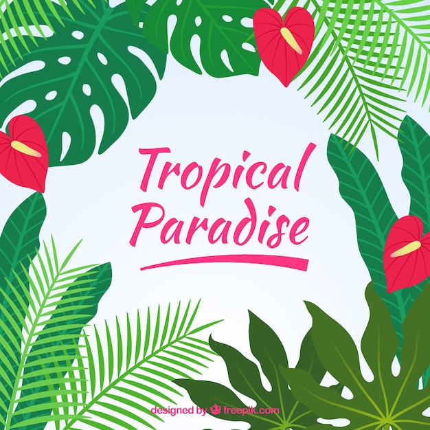 Background of tropical leaves