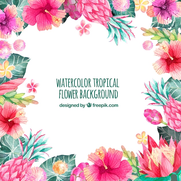 Background of tropical watercolor flowers