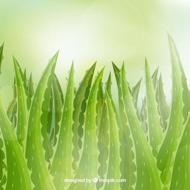 Free vector background unfocused with aloe vera leaves