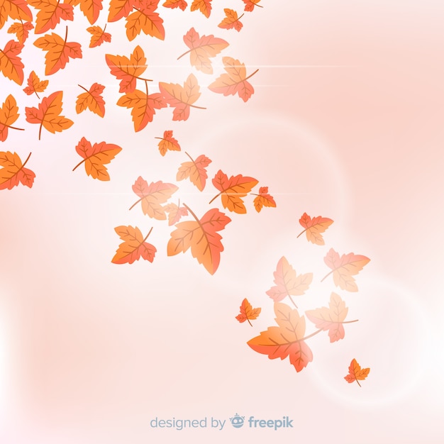 Background with autumn leaf