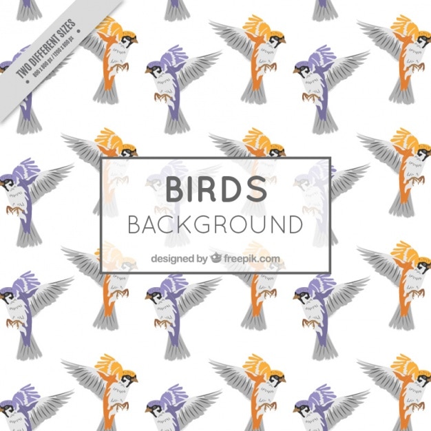 Free vector background with beautiful birds