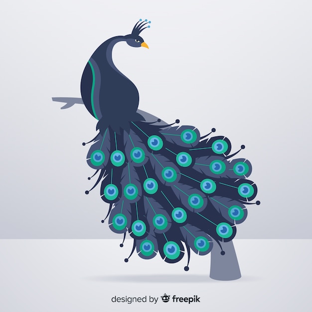 Free vector background with beautiful peacock