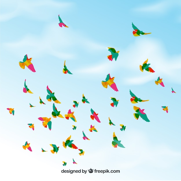 Free vector background with birds flying in sky