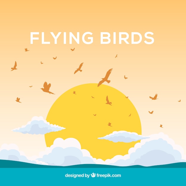 Free vector background with birds and sun