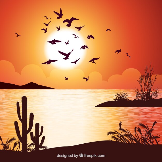 Background with birds at sunset