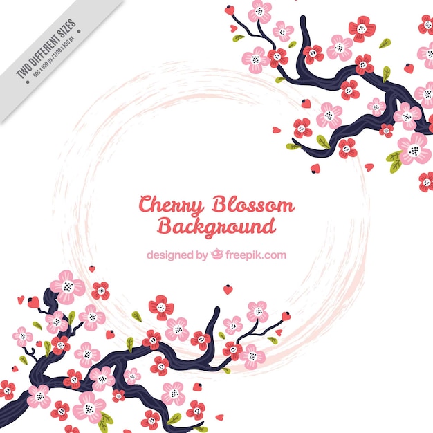 Background with cherry blossoms and pink circle