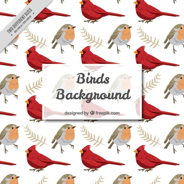 Free vector background with cute birds