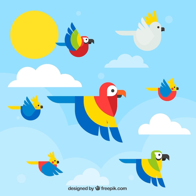 Free vector background with flat flying parrots