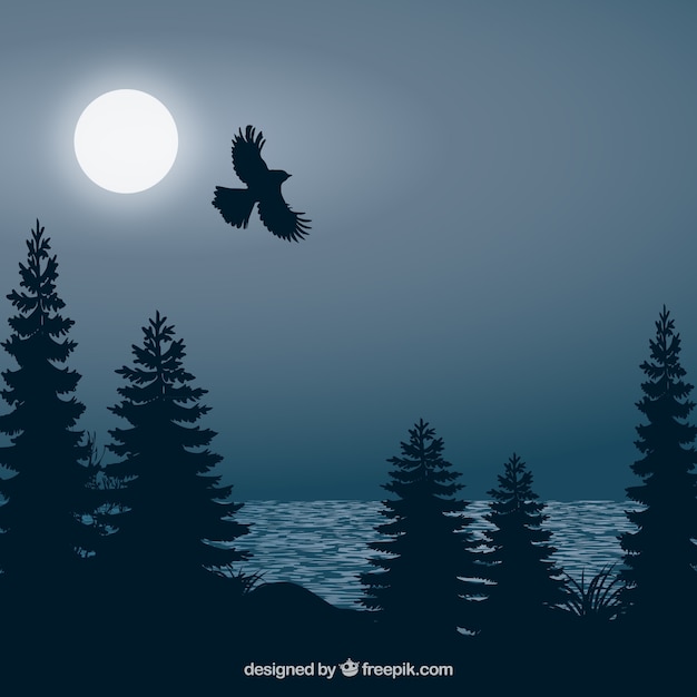 Background with flying bird at night