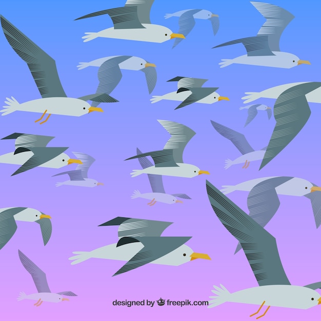 Background with flying seagulls