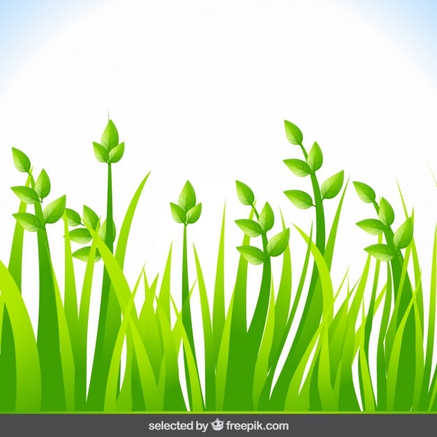 Background with green grass