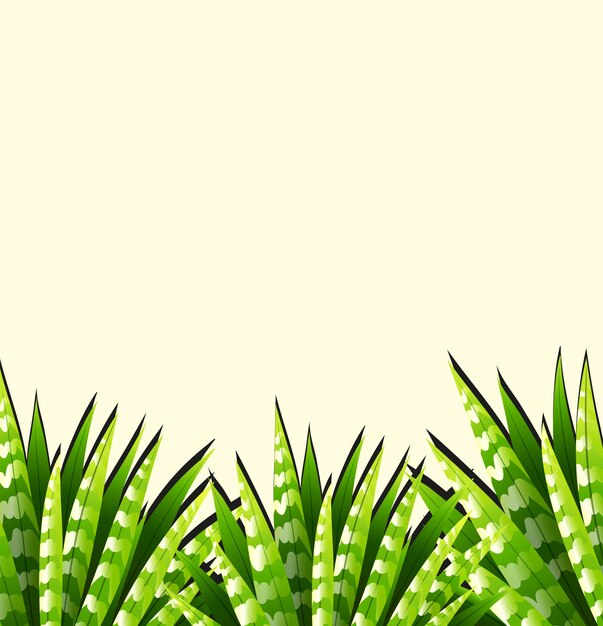 Background  with green leaves