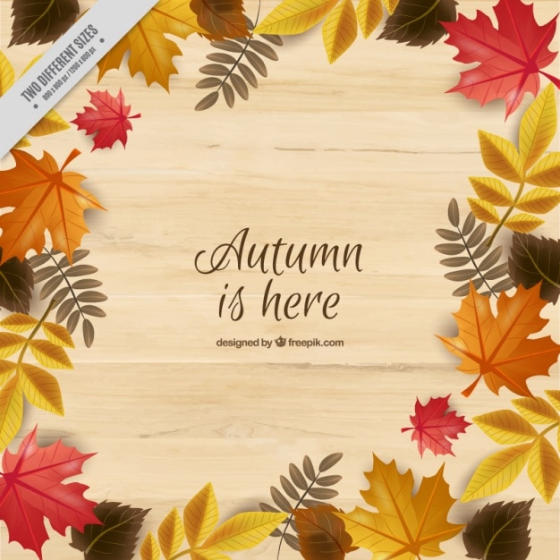 Background with leaves to celebrate the autumn