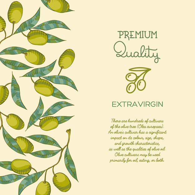 Бесплатное векторное изображение Фон с оливковой ветвью и зеленой оливкой