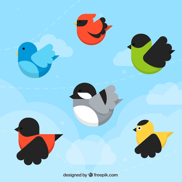 Free Vector background with six birds