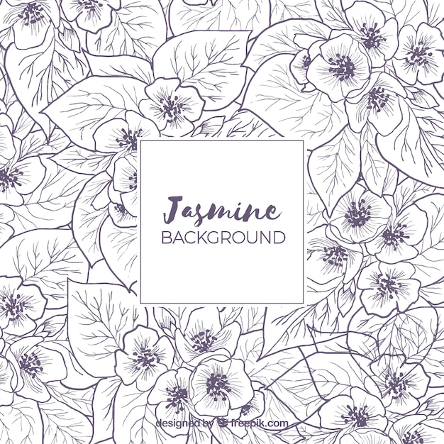 Free vector background with sketches of jasmine