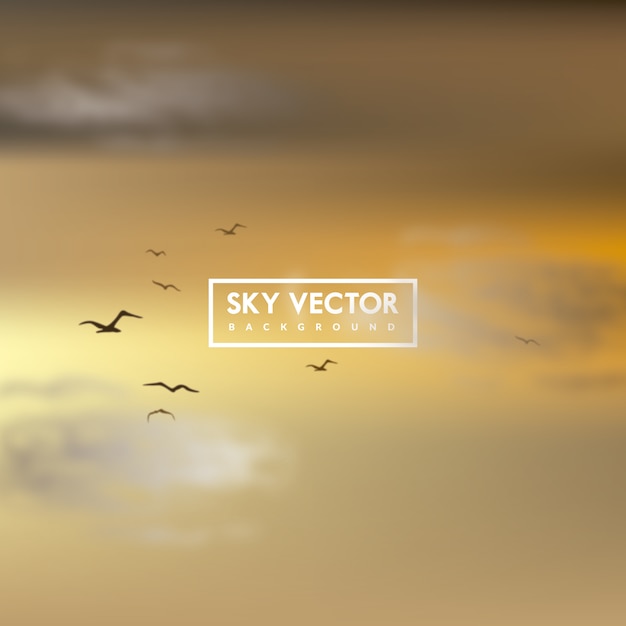 Free vector background with sunset sky and birds