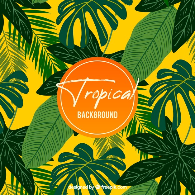 Background with tropical plants