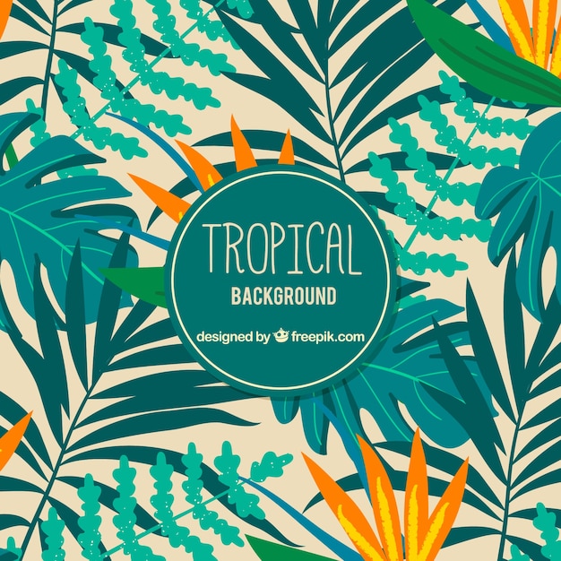 Background with tropical plants