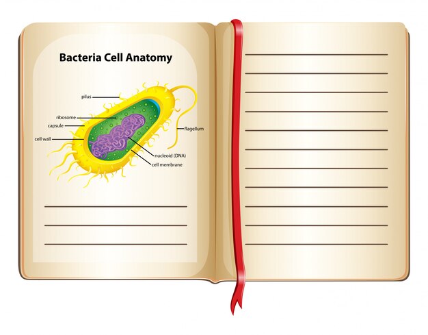 Microflora Wirebound Sketchbook