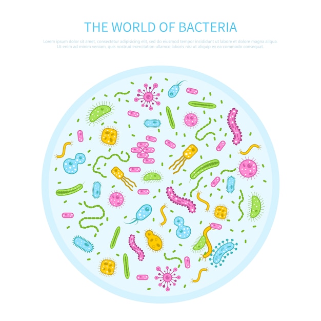 Bacteria concept illustration