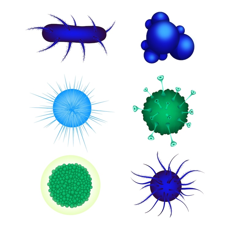 Free Vector bacteria and germs colourful realistic set