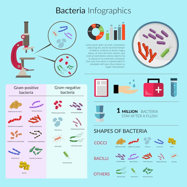 Бактерии инфографика набор шаблонов