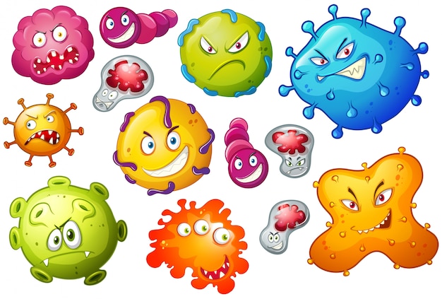 表情のある細菌