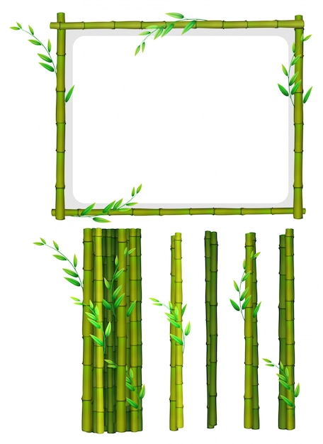 Bamboo frame and bamboo sticks