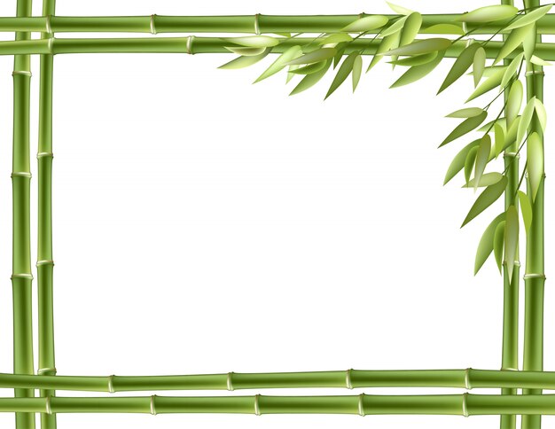 Bamboo frame set | Free Vector