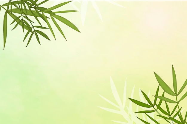 Bamboo leaf background