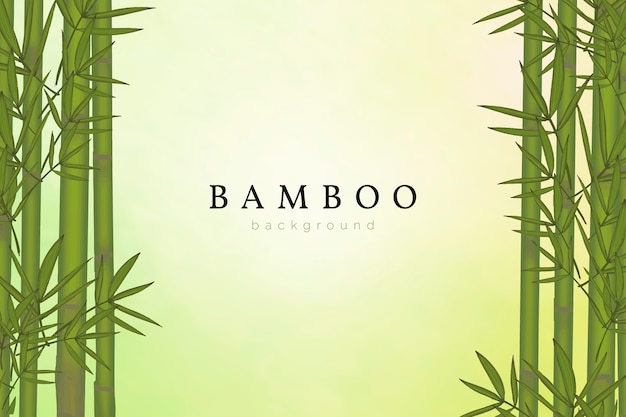 Free vector bamboo tree background