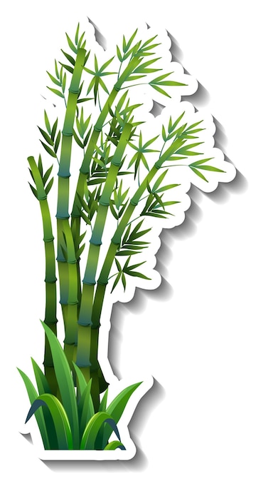Bamboo Clip Art Images - Free Download on Freepik