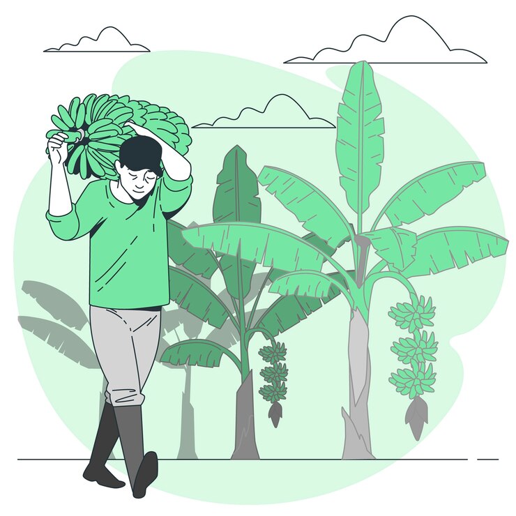 무료 Vector 바나나 농부 개념 그림
