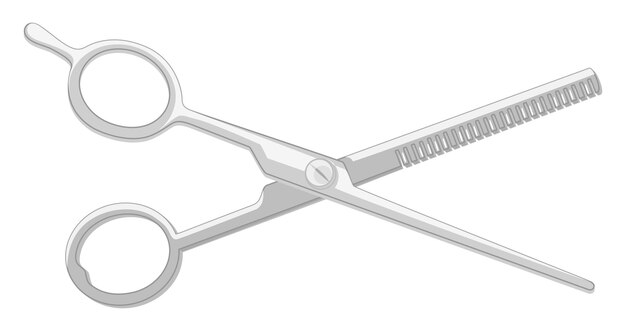 Barber scissors on white background