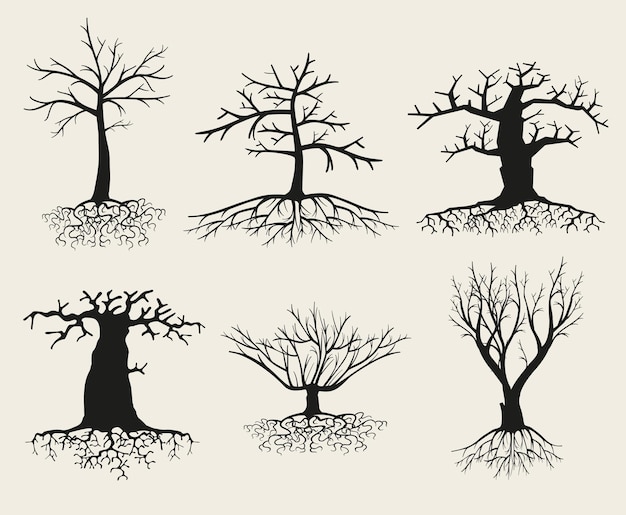 Bare tree silhouette set with roots