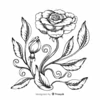 Free vector baroque vintage flower