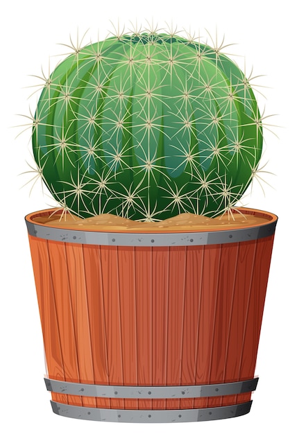 Free vector barrel cactus in a wooden pot