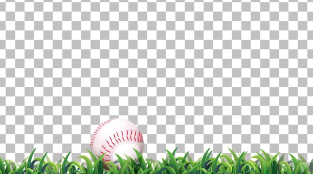Baseball on the grass field on transparent background