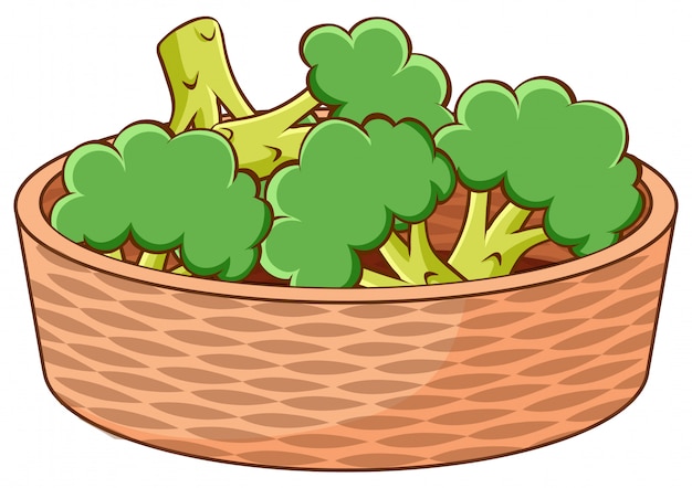 Free vector basket of broccolis on white background