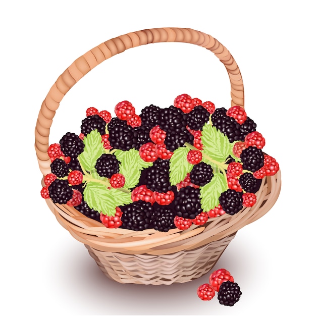 Basket with berries background