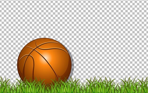透明な背景の上のバスケットボールと草