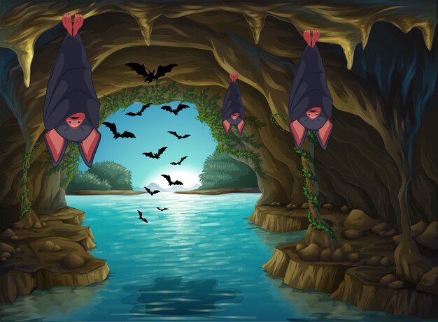 Bats living in the dark cave