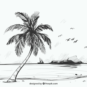 Beach sketch background with palm tree